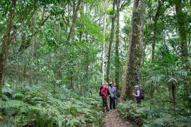 Eco-friendly travel