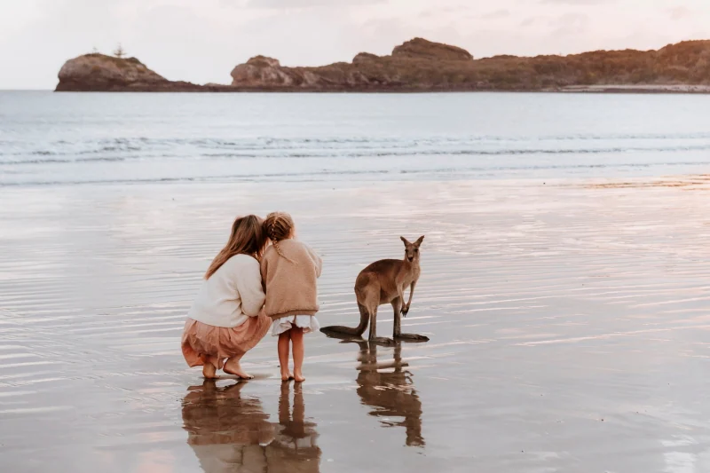 Family travel