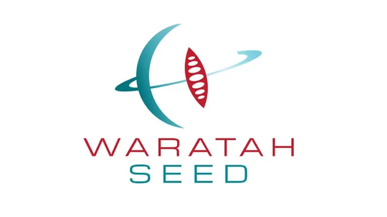 USyd Waratah Seed