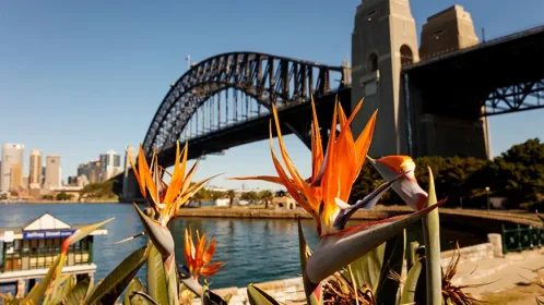 Bridge-Sydney-CBD-872x490